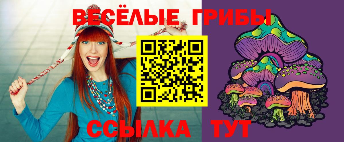 Псилоцибиновые грибы Psilocybine cubensis Сафоново