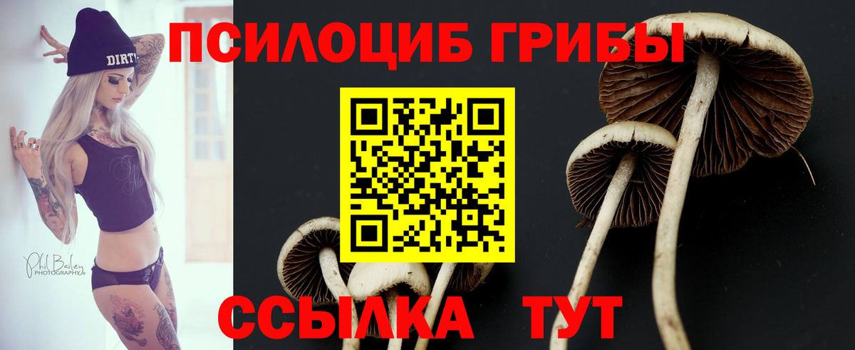 Сафоново  Галлюциногенные грибы GOLDEN TEACHER  Вход с VPN 